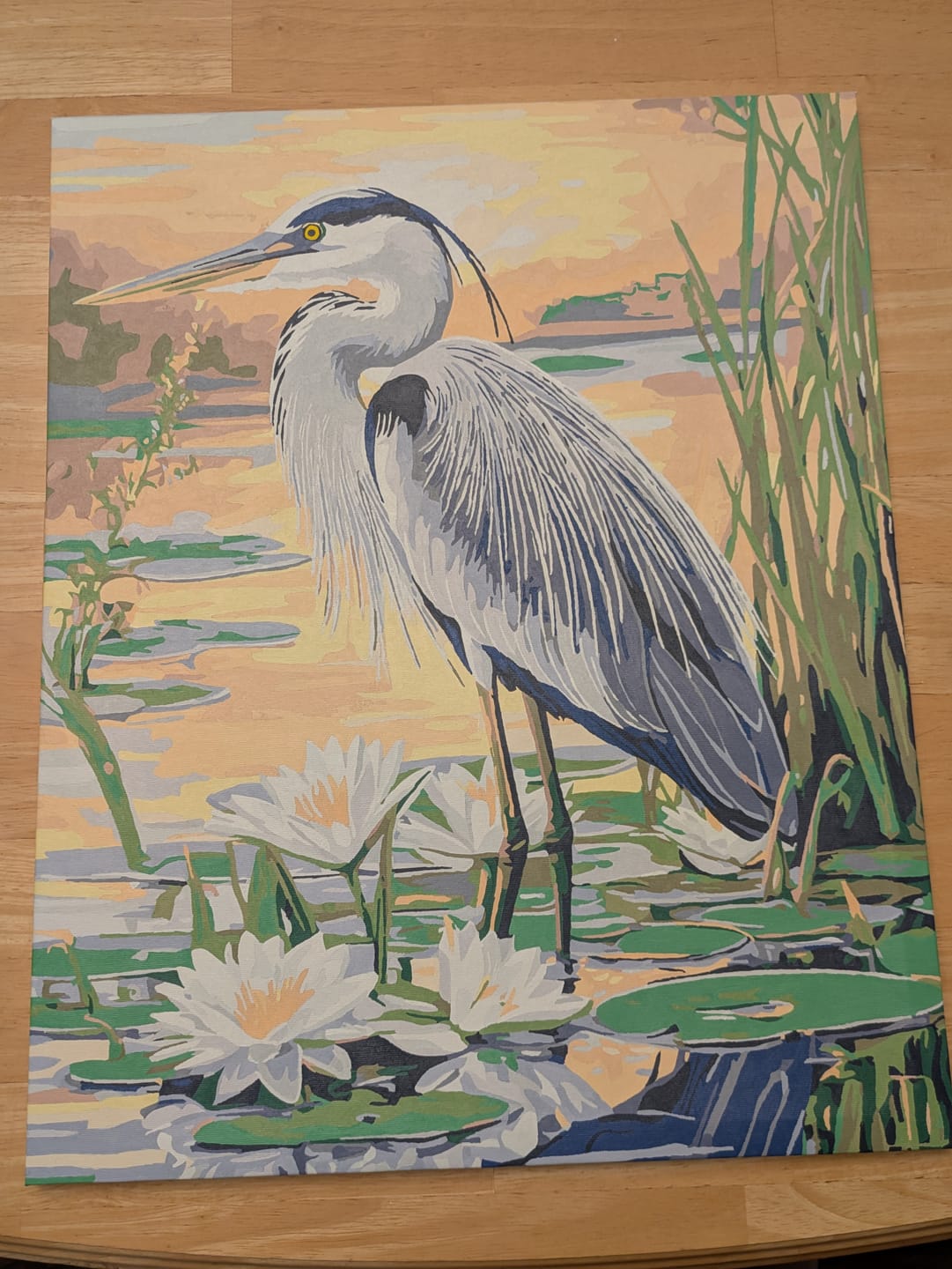 Customer photo review of Great Blue Heron