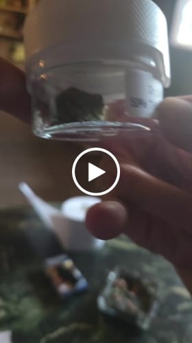 Customer video review of THC-A  50% Hash Dry Sift