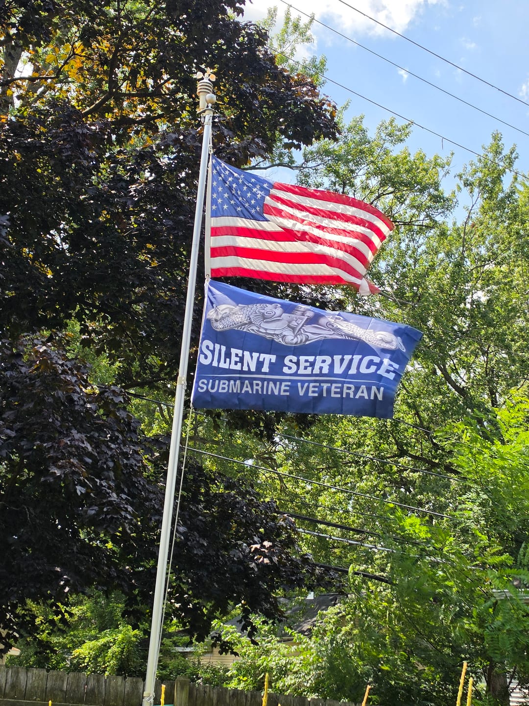 Customer photo review of Silent Service Submarine Veteran Flag