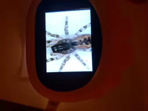 Customer photo review of Kit Explorador: Microscopio Infantil Portable Digital HD + Guía de Crianza Digital 🔬✨