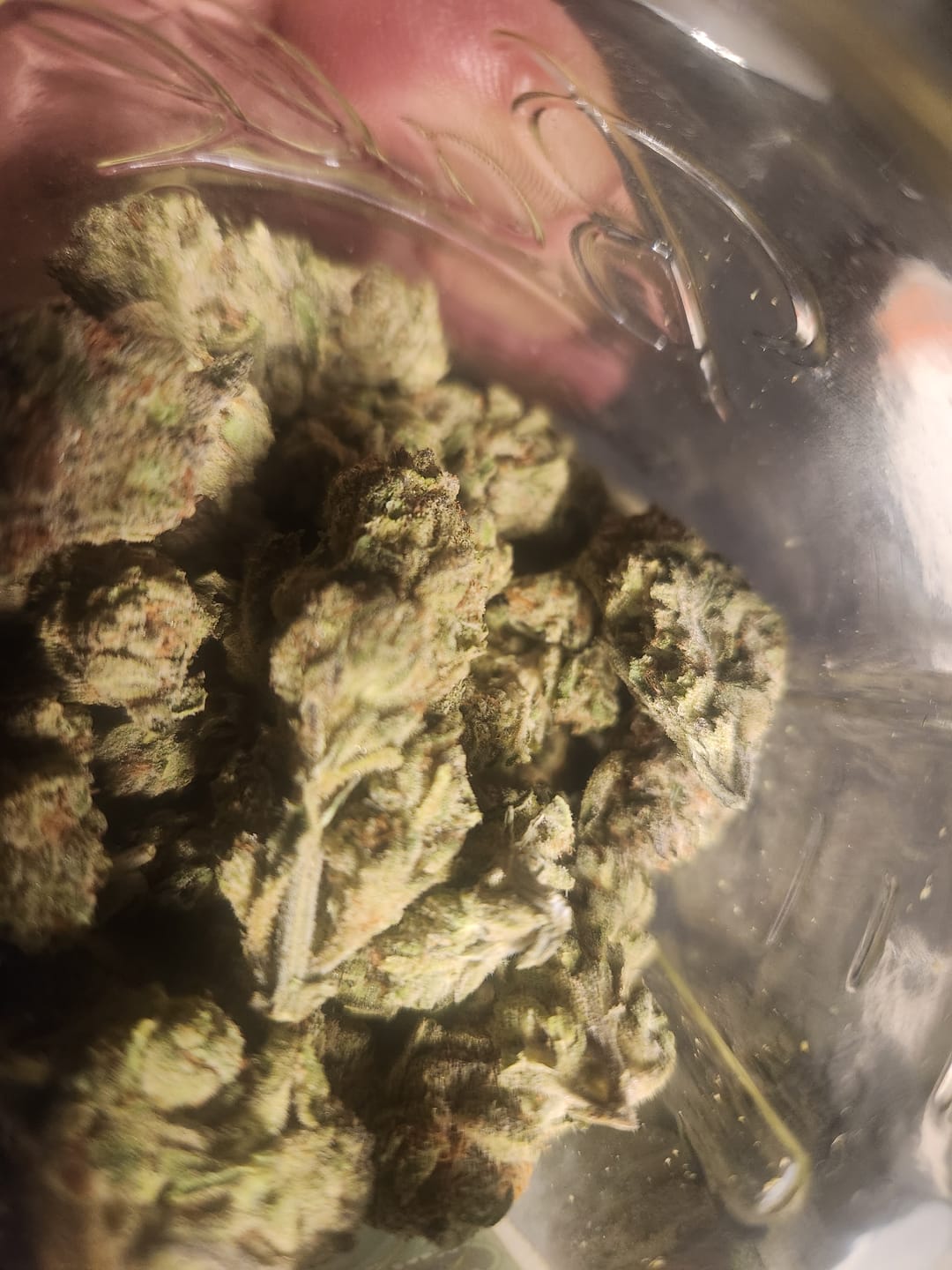 Customer photo review of Black Ice THCA Flower Ounce (28g)