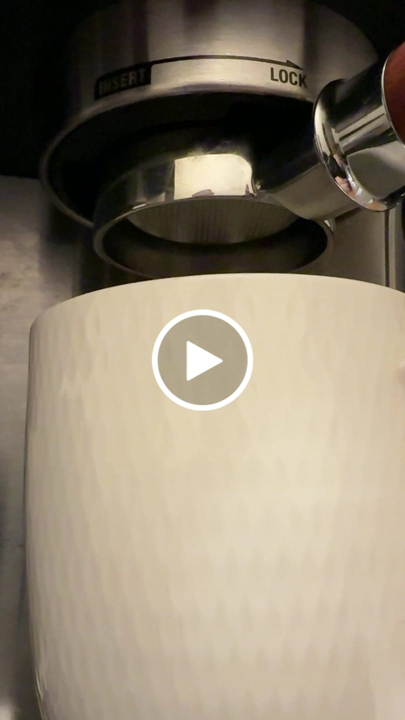 Customer video review of High Diffusion Espresso Shower Screen - Breville