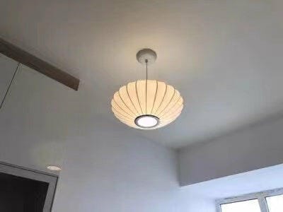Customer photo review of Pendant Light, Crisscross Bubble, Mulberry Silk, Steel Wireframe, E26