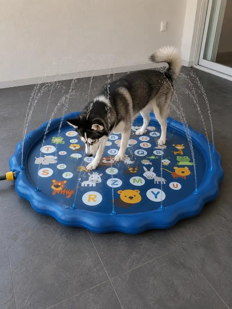 Customer photo review of AquaPaw Dog Splash Pad & Sprinkler Mat