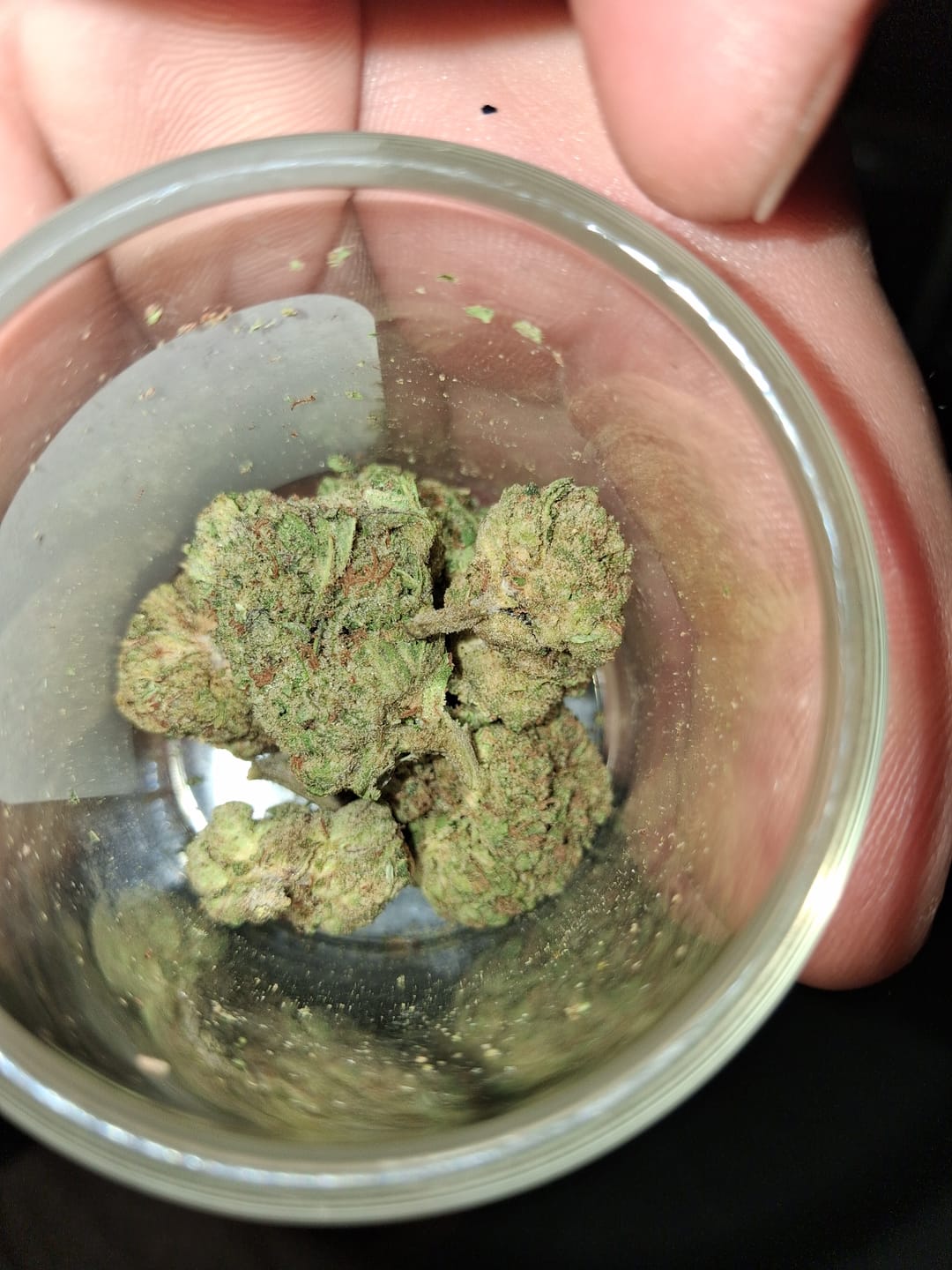 Customer photo review of Light Assist THCA Flower