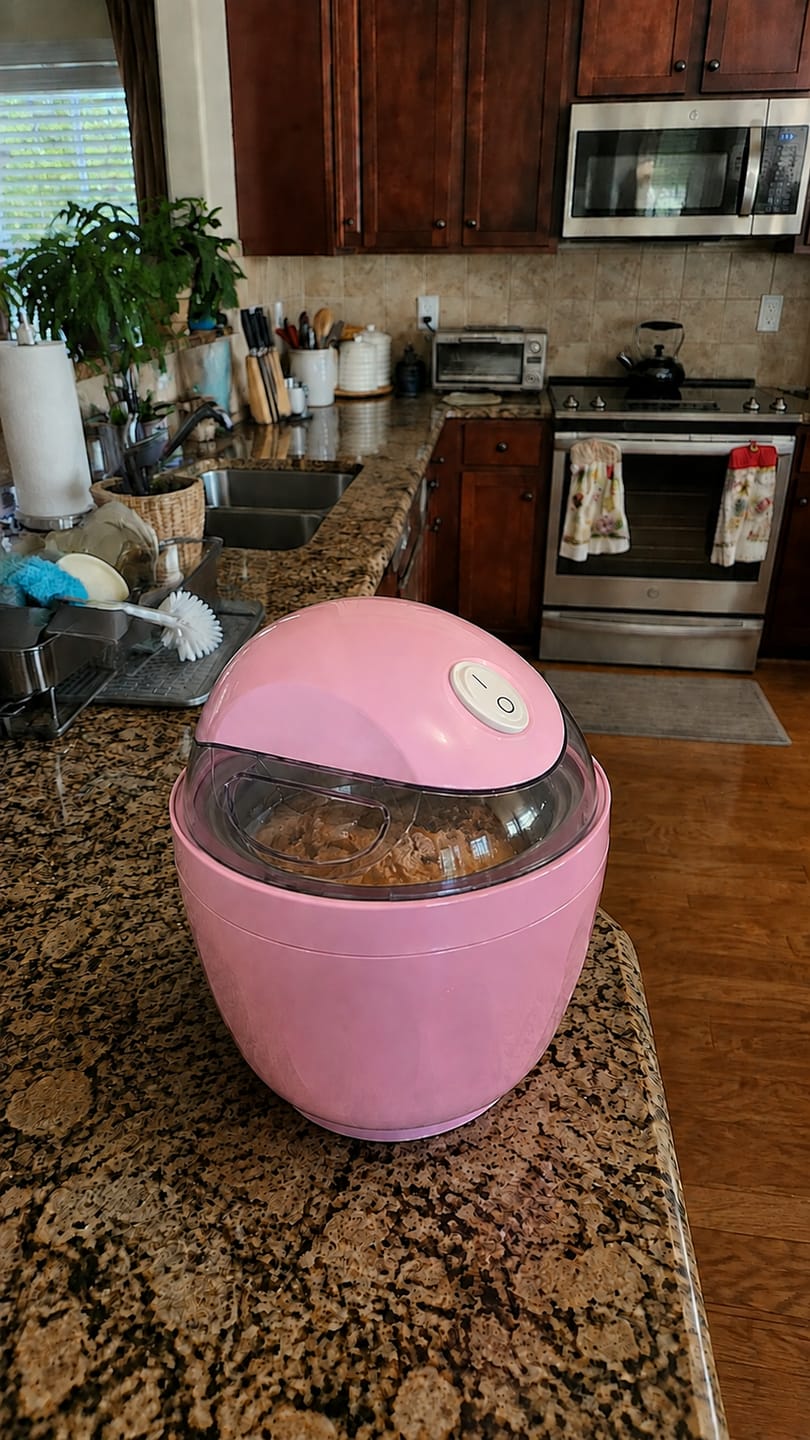 Customer photo review of Ice cream maker