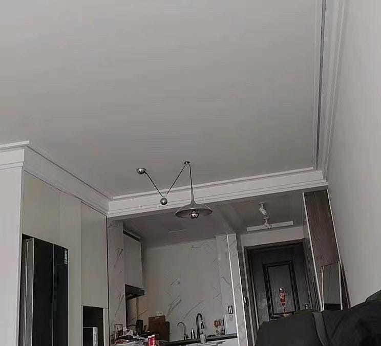 Customer photo review of Onos Pendant Light, Metal Globe Shade, Chrome or Gold, E26/E27, Adjustable
