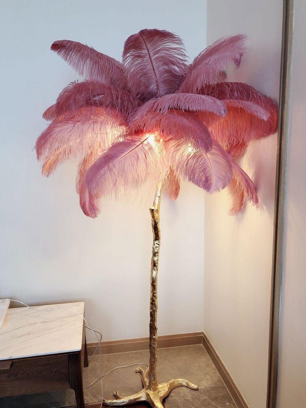 Customer photo review of Floor Lamp, Ostrich Feather Shade, Brass Base, 6x G9, Plug-In