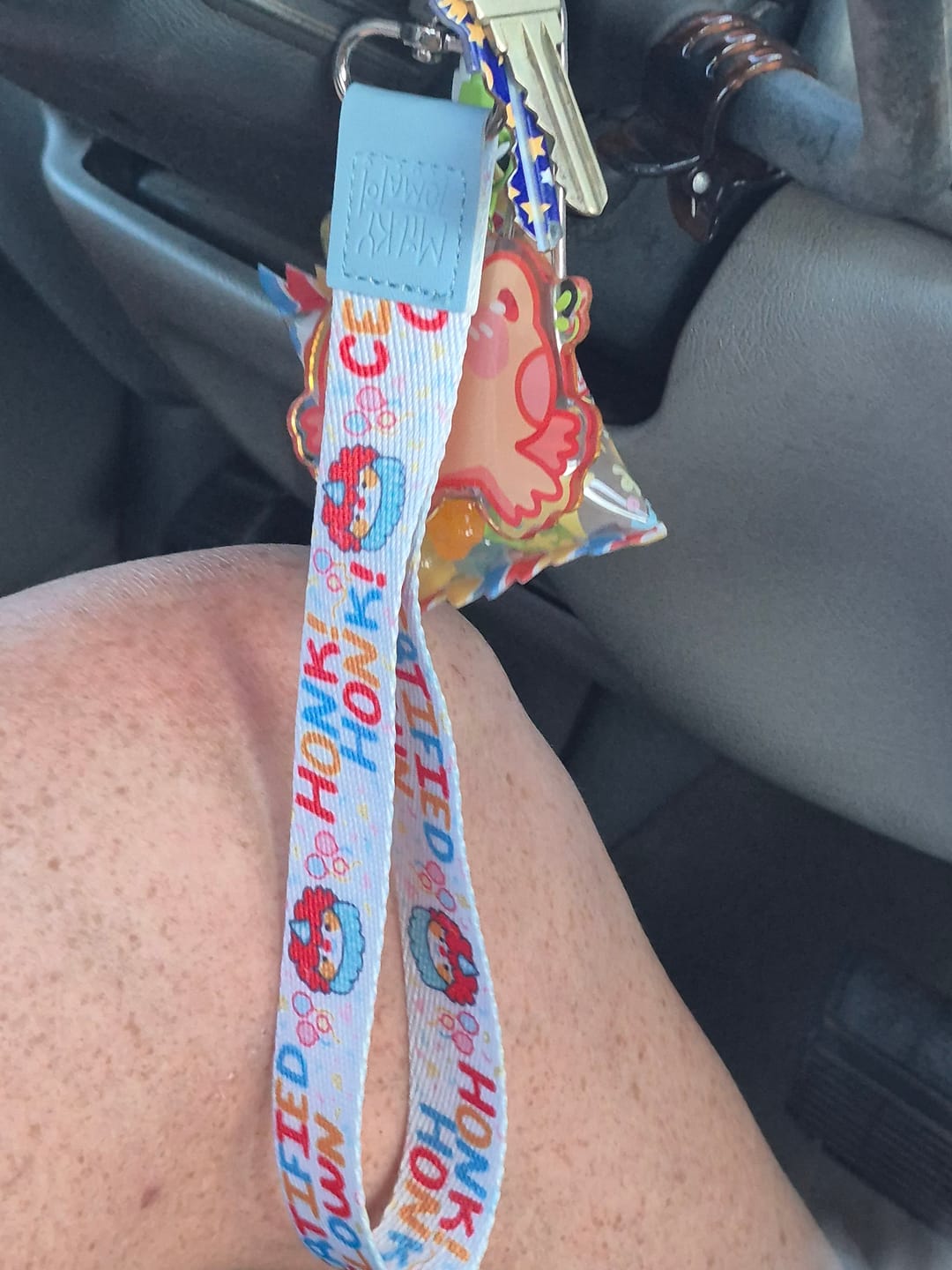 Customer photo review of Certified Clown Wrist Lanyard