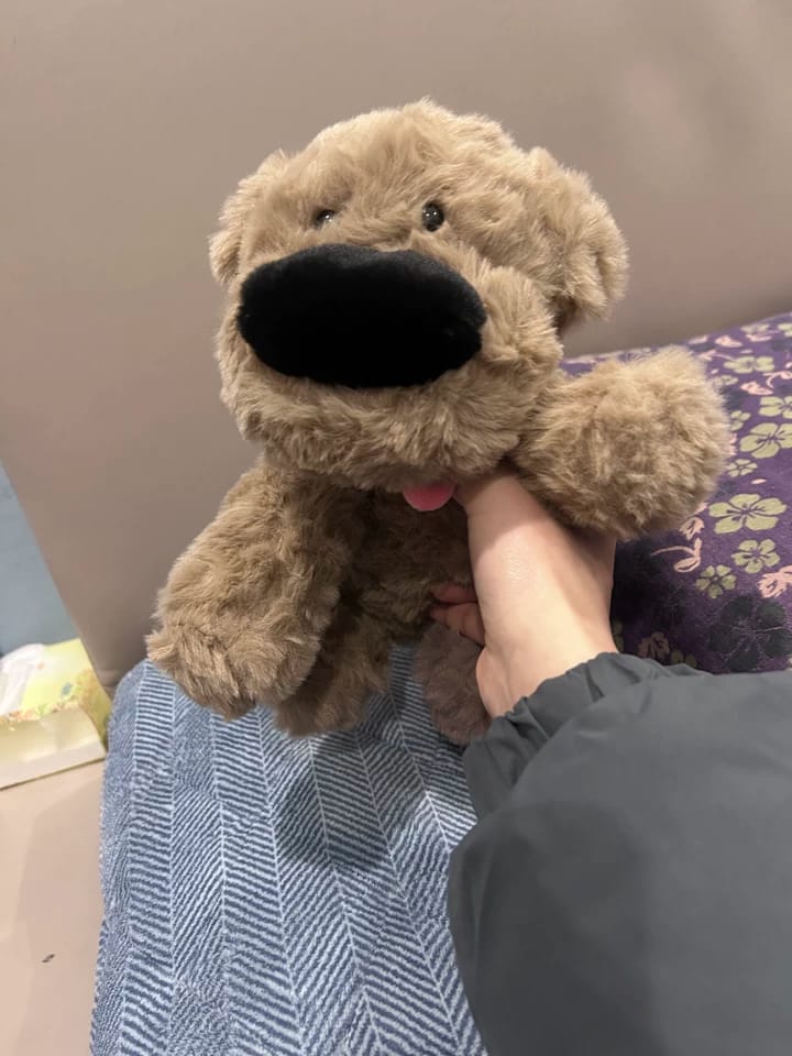 Customer photo review of Dodee Dog