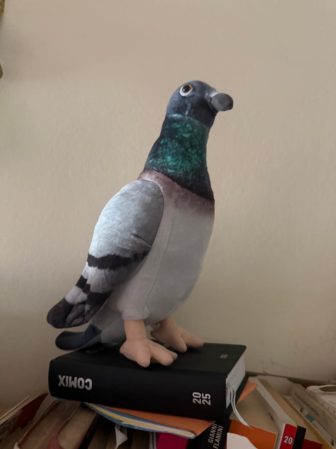 Customer photo review of Hill Pigeon Plush – Soft and Realistic Stuffed Bird for Animal Enthusiasts & Collectors