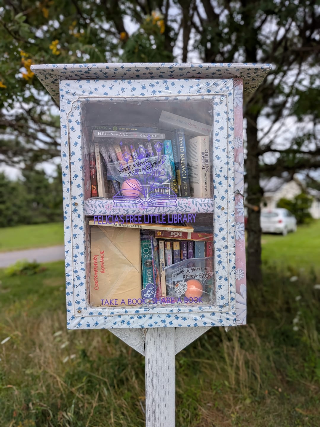 Customer photo review of Little Free Library Official Charter Sign