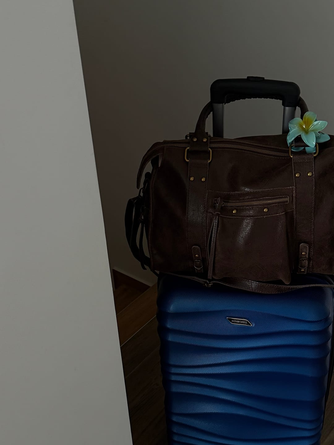 Customer photo review of It girl bag espresso martini