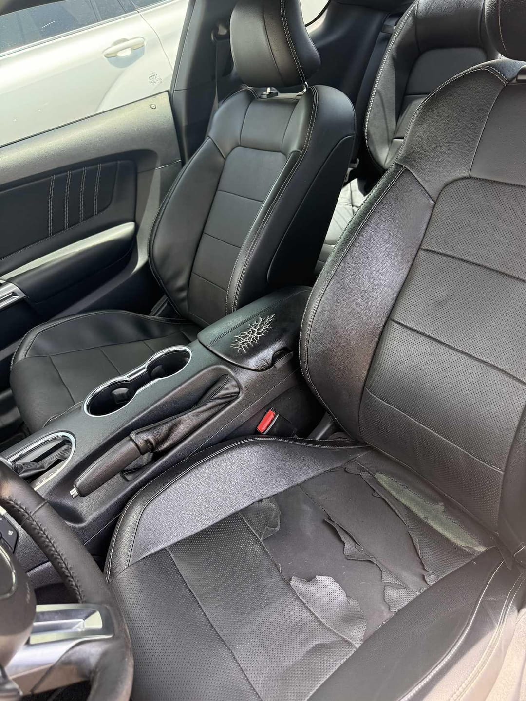 Customer photo review of 2015-23 Ford Mustang S550 Coupe Leather Seat Covers