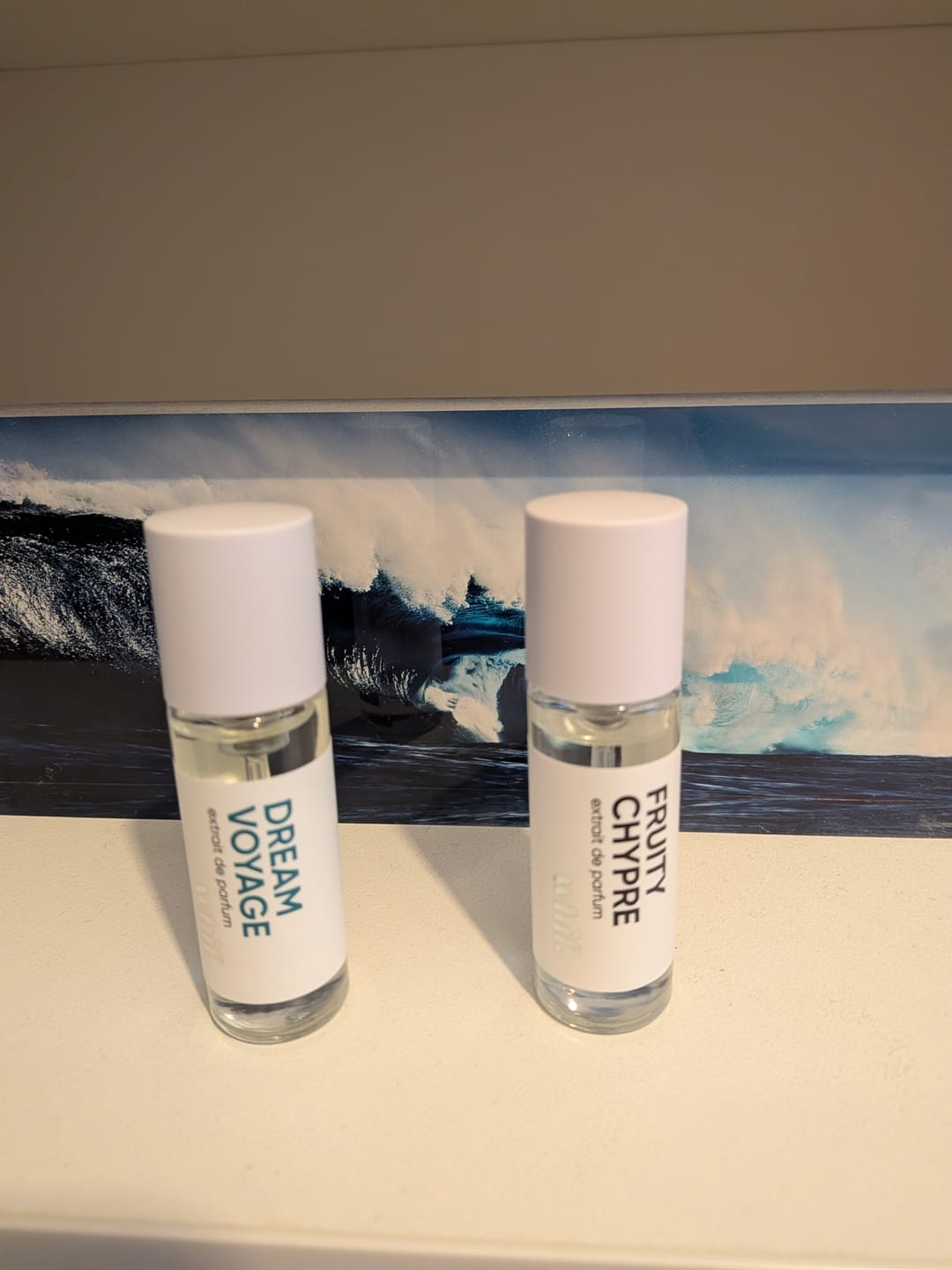 Customer photo review of Dream Voyage