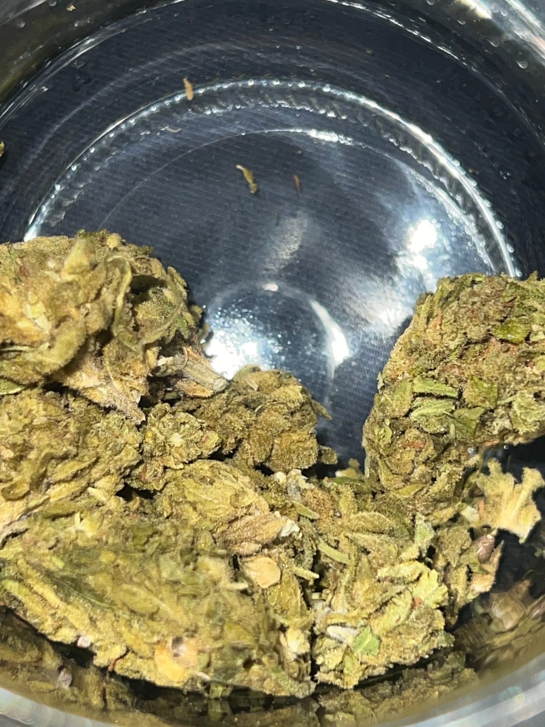 Customer photo review of Heavy OG - 28 Grams - Indica