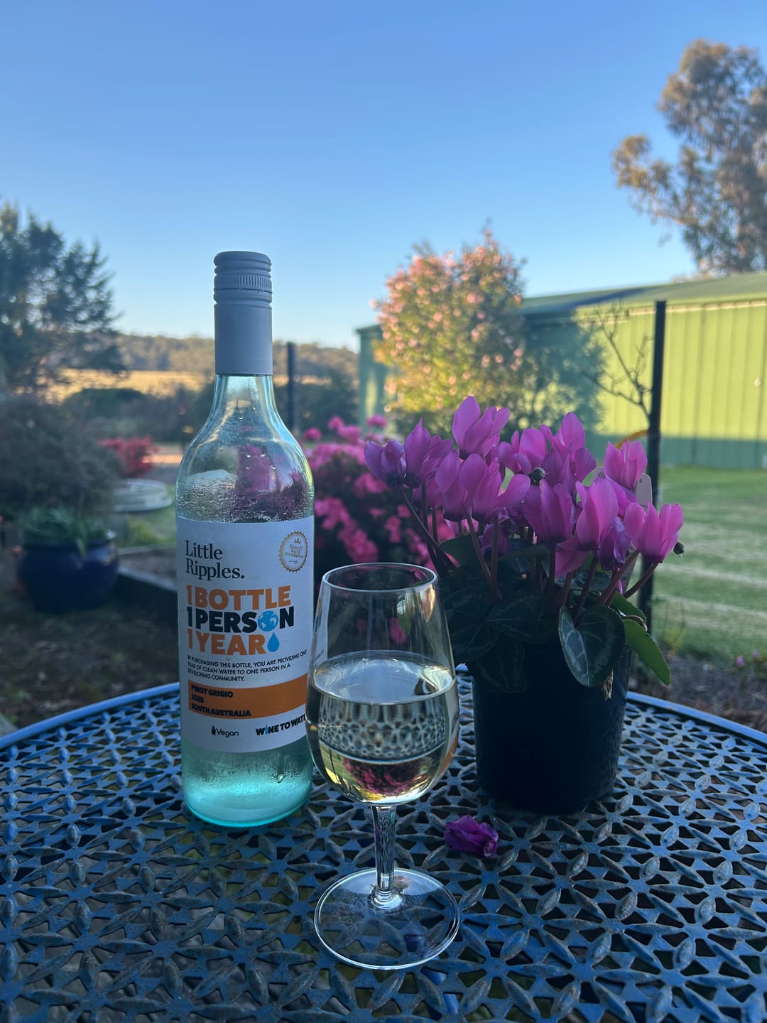 Customer photo review of Zero Sugar Pinot Grigio – Vegan Australian White Wine | 6 Pack