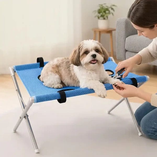 Customer photo review of Dog Bath Stand