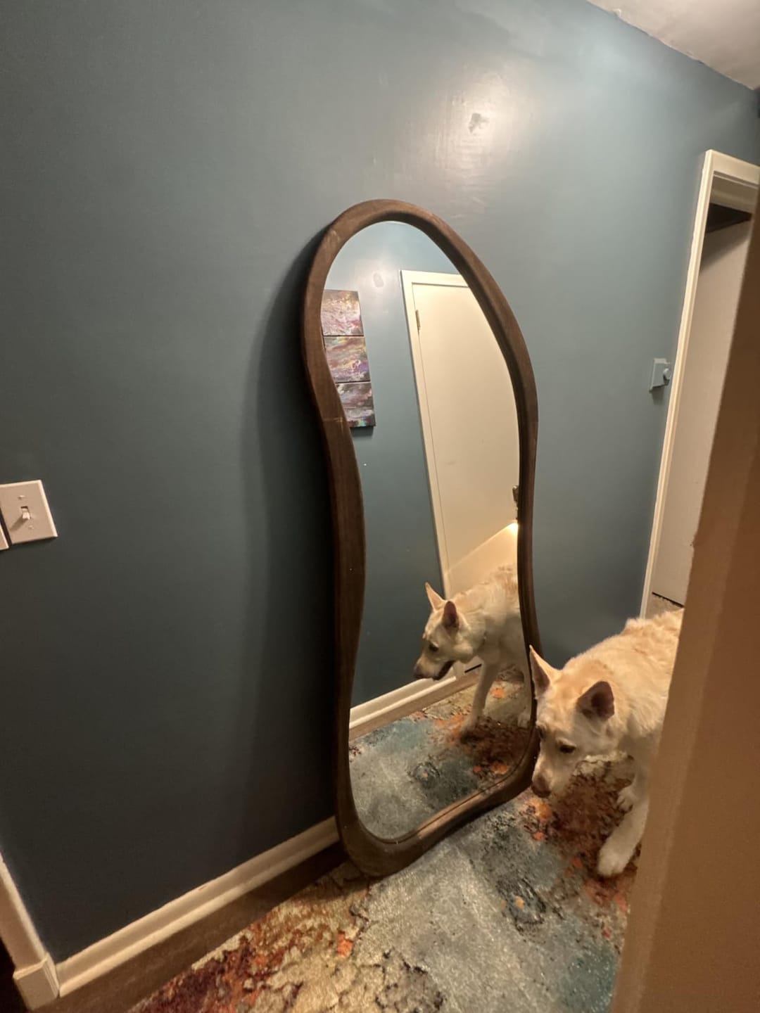 Customer photo review of Wood Framed Wall Mirror