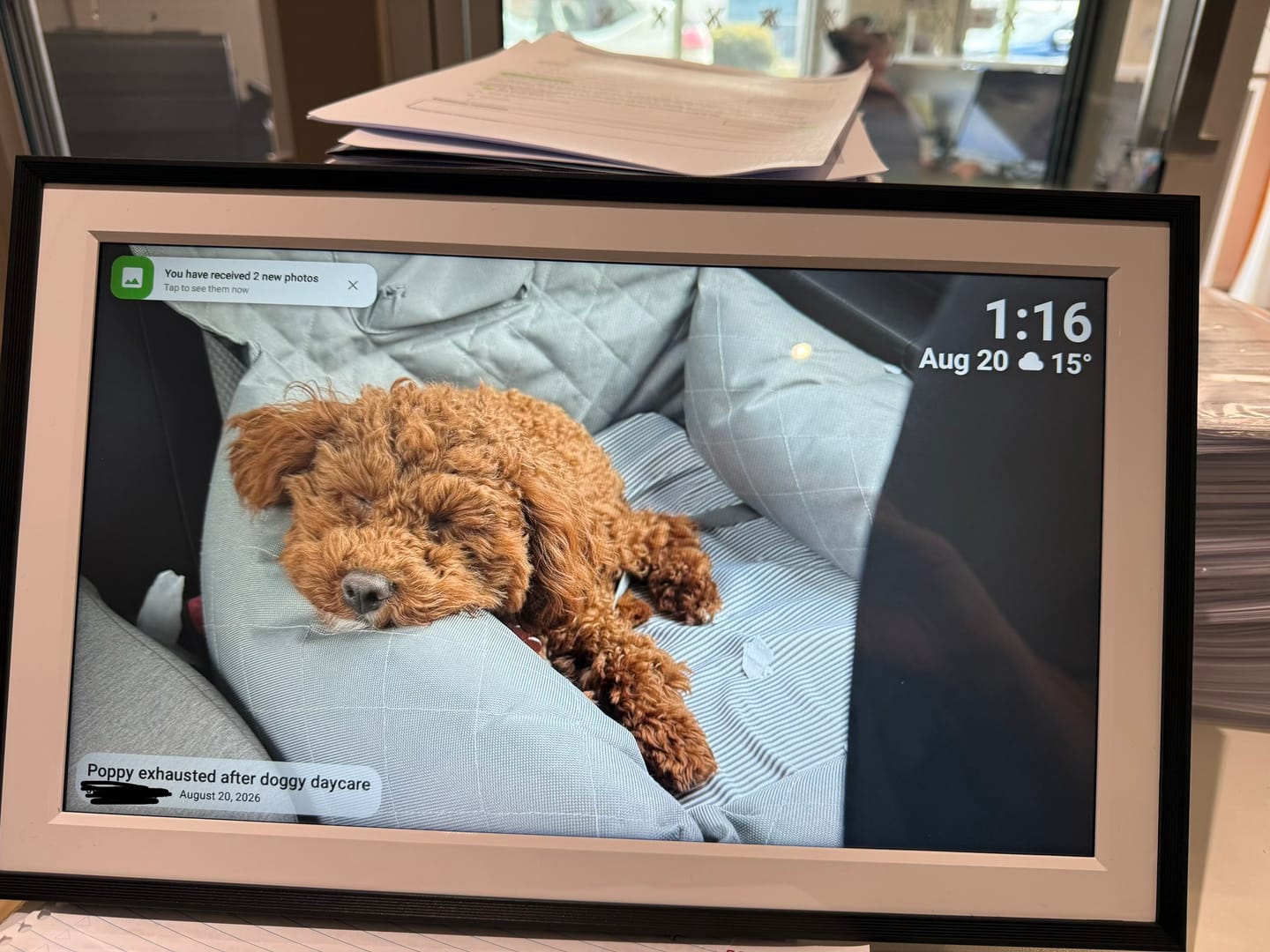 Customer photo review of Digital Photo Frame