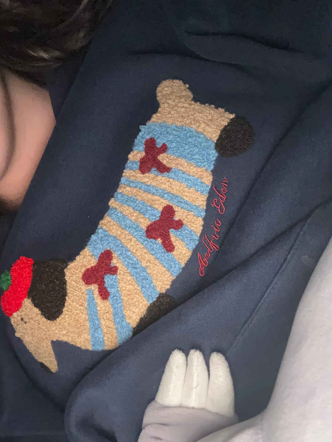 Customer photo review of Aelfric Eden Cartoon Dachshund Hoodie