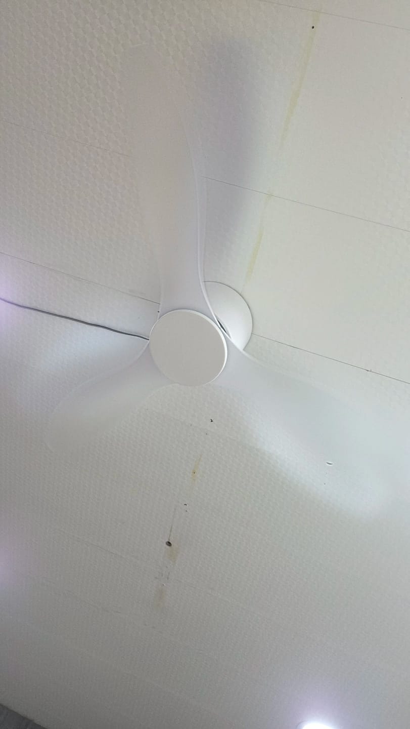 Customer photo review of Low Profile Ceiling Fan – 42/52 Inch, White, Wood, or Black Finish