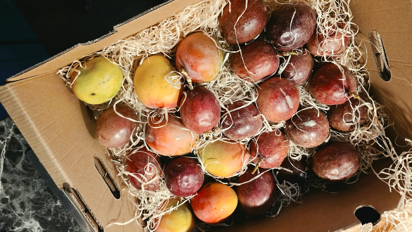 Customer photo review of Passionsfrüchte Bio von Salvador Retteraktion %
