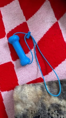 Customer photo review of PearlyPaw™ Dog Teeth Cleaner