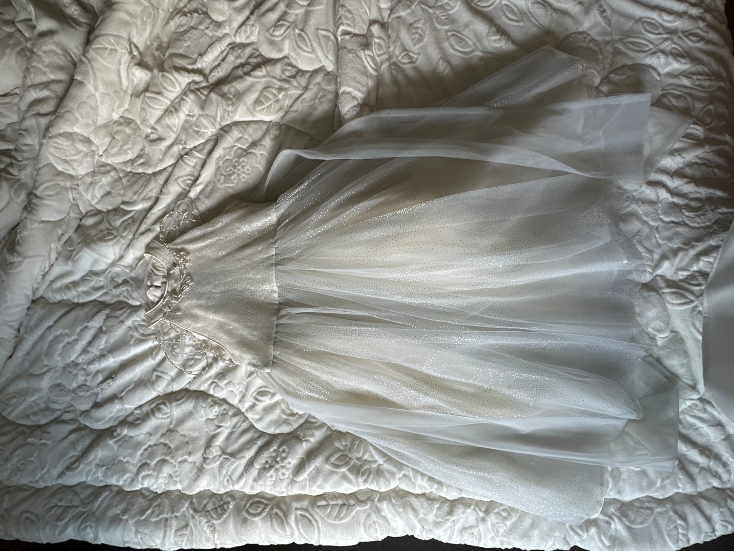 Customer photo review of Gilded Whisper Dress