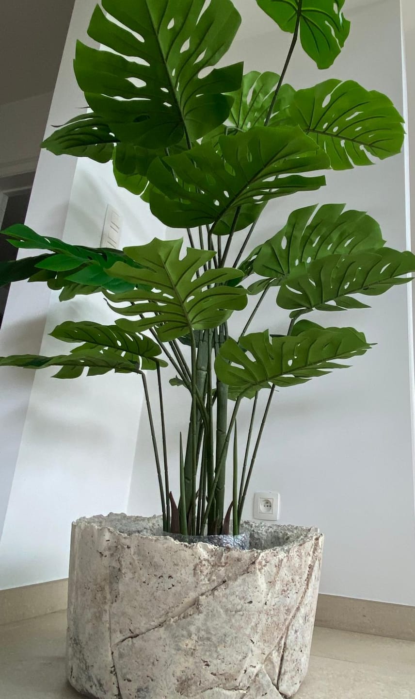 Customer photo review of Monstera Kunstplant 165cm