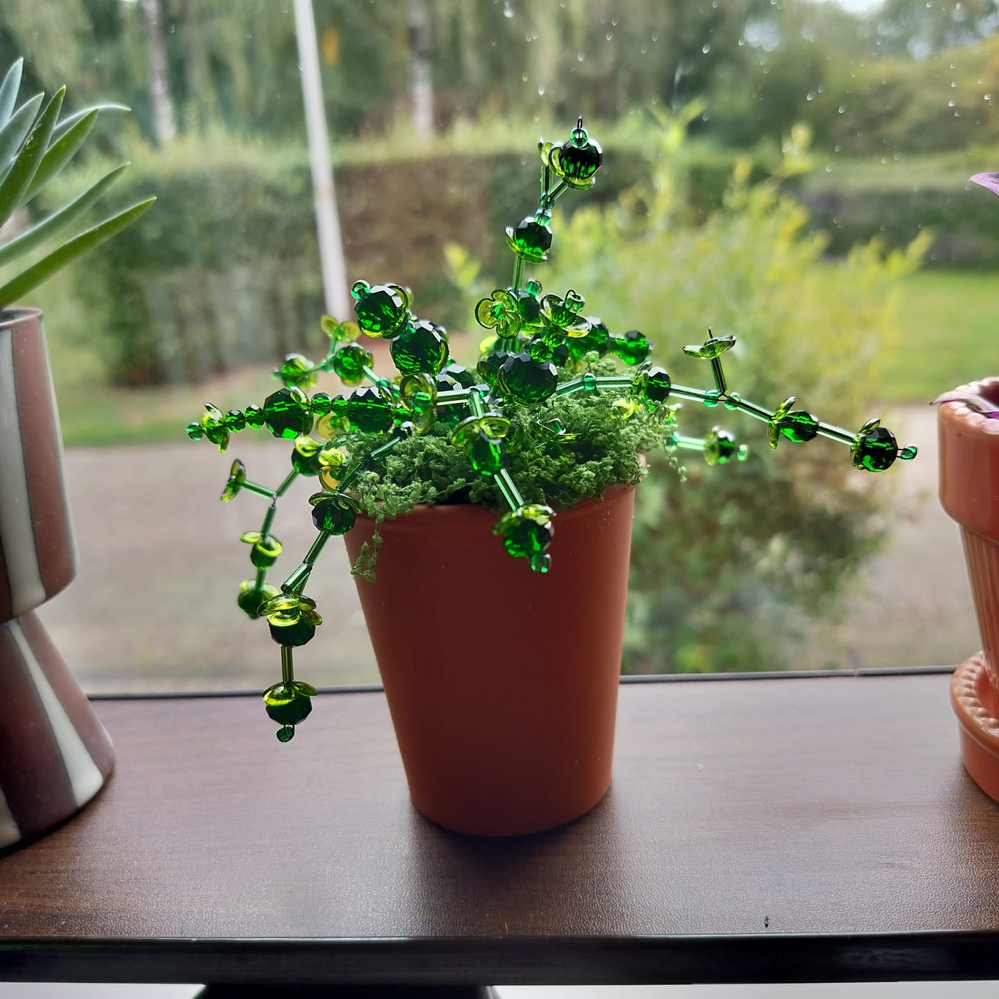 Customer photo review of Maak thuis je eigen kralenplant - Rode Bloei