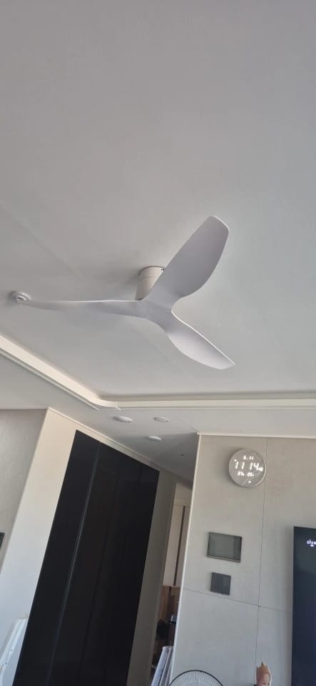 Customer photo review of Home Retro Ceiling Fan – 45/52 Inch DC Motor with Remote