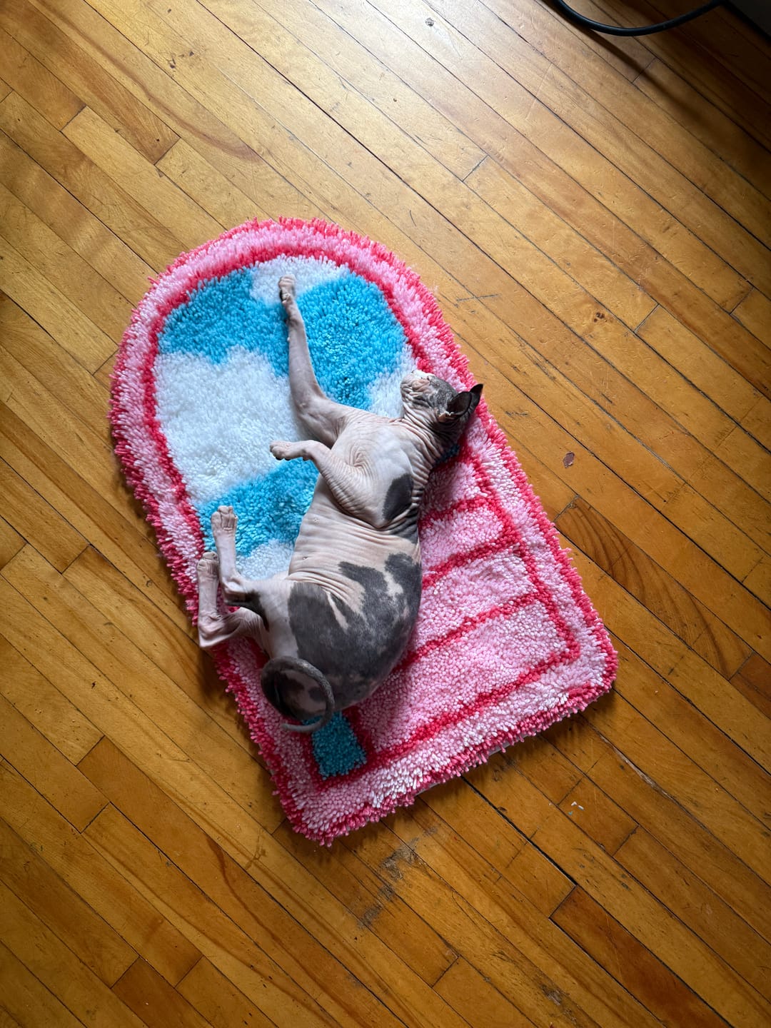Customer photo review of Pink Portal - XL Latch Hook Rug Kit