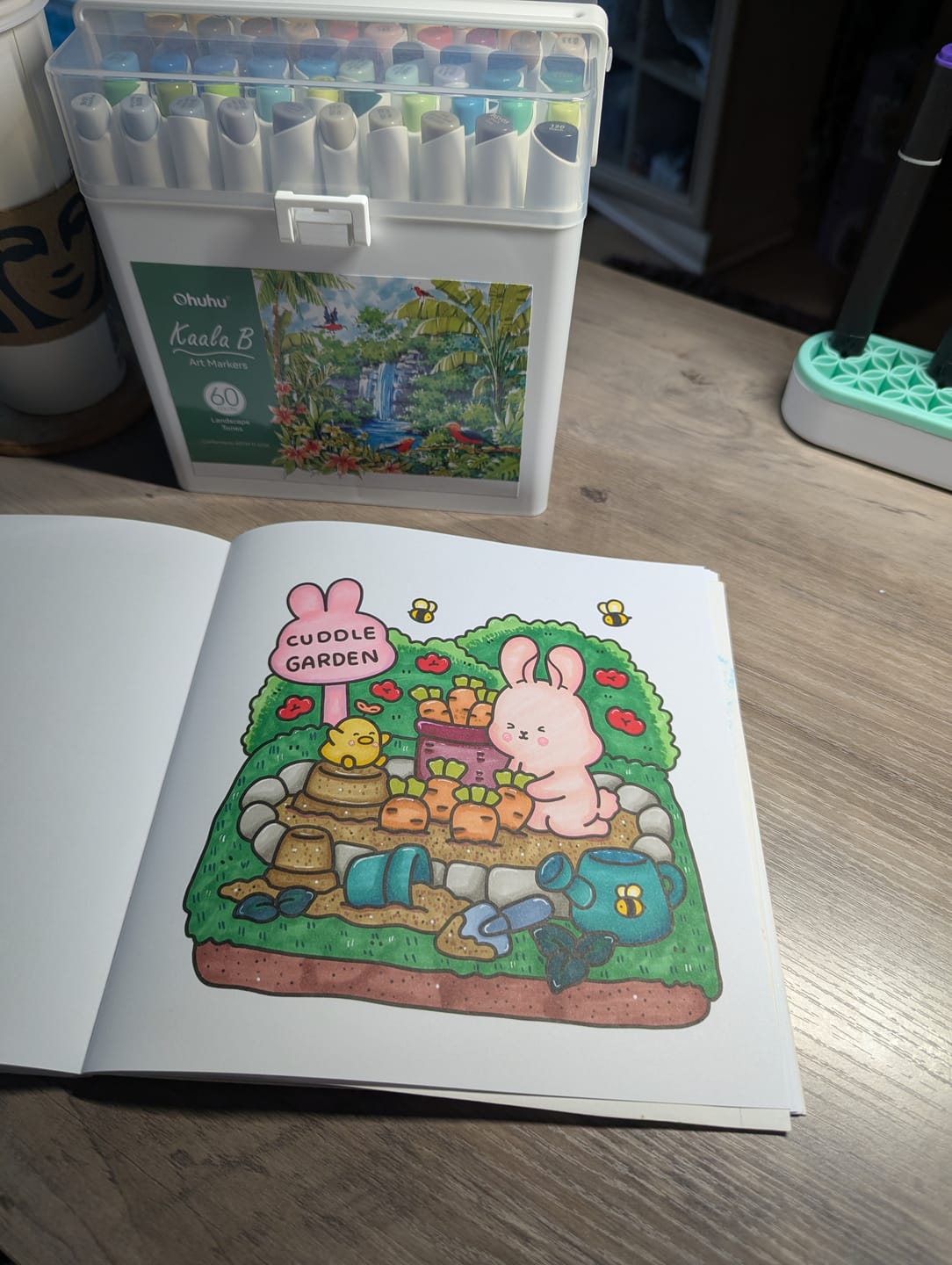 Customer photo review of Ohuhu Kaala B Dual Tips Alcohol Art Markers, Slim Broad & Mini Brush (New Color Codes)