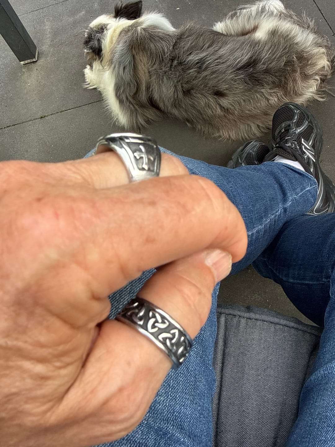 Customer photo review of THE CYCLE.