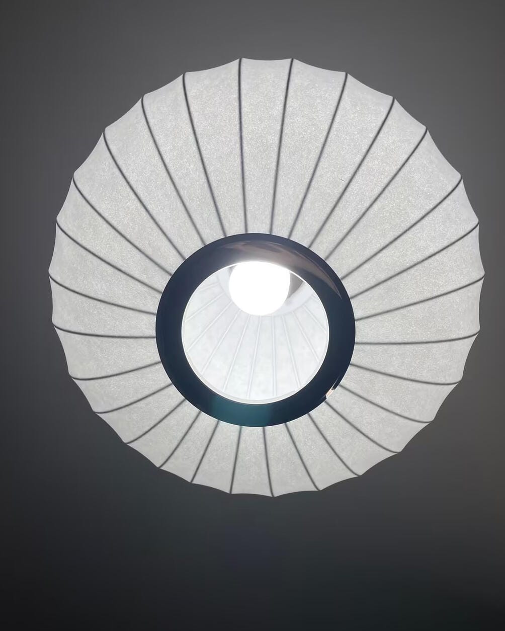 Customer photo review of Pendant Light, Crisscross Bubble, Mulberry Silk, Steel Wireframe, E26