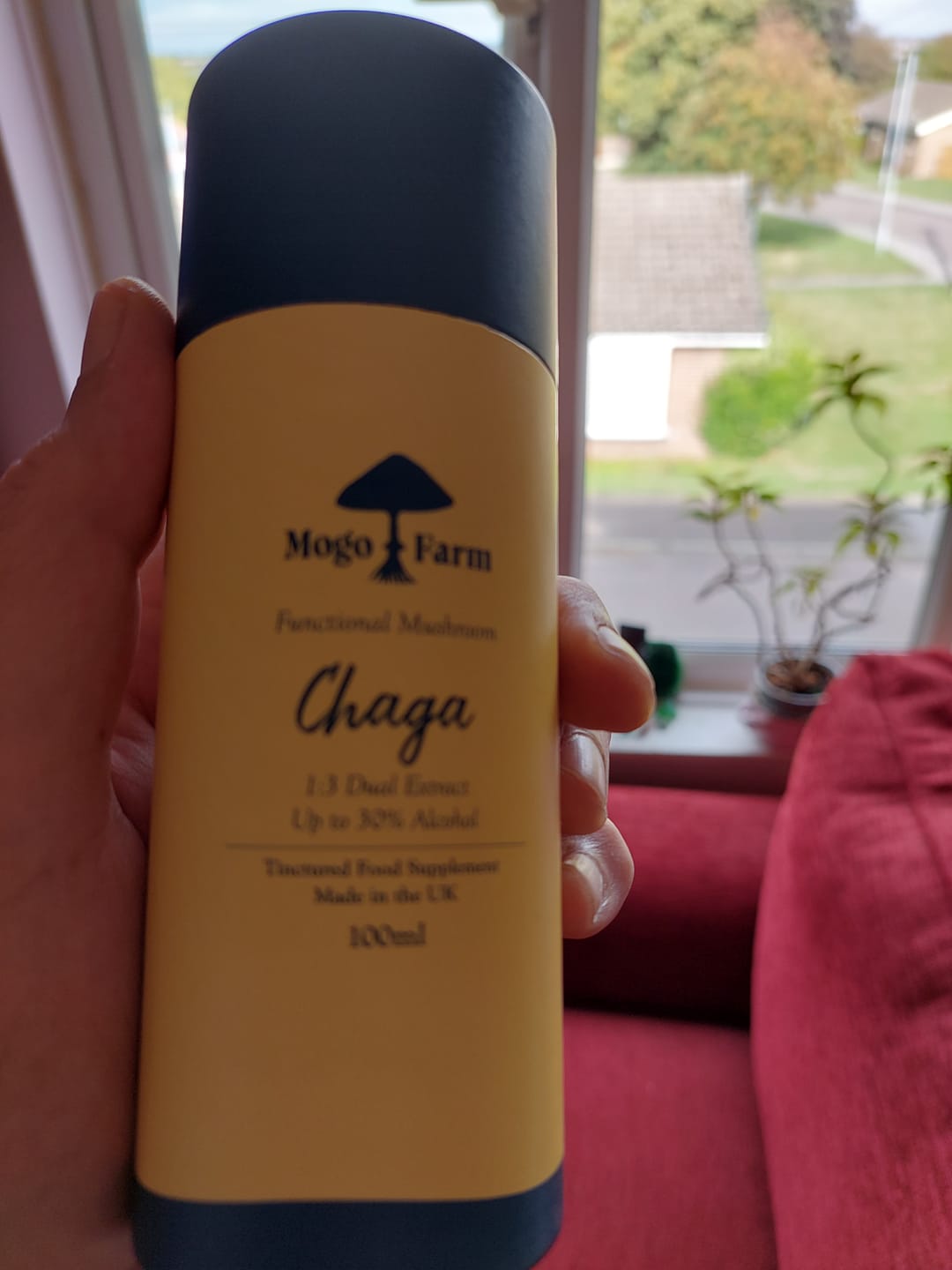 Customer photo review of Chaga Mushroom Tincture