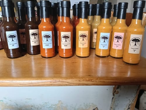 Customer photo review of Pale Colored Labels - 230 per roll