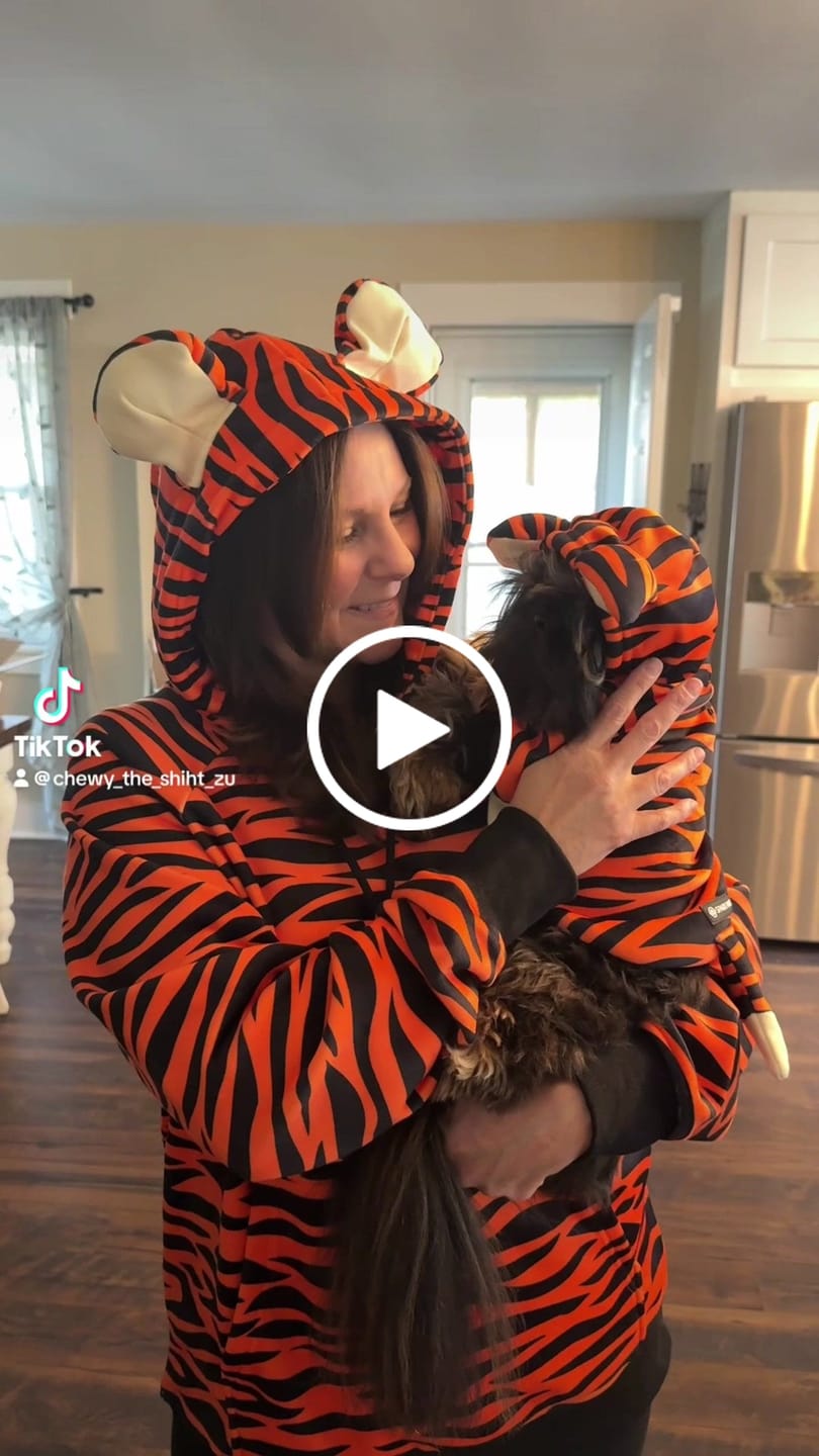 Customer video review of Halloween Dog Hoodie - Tiger