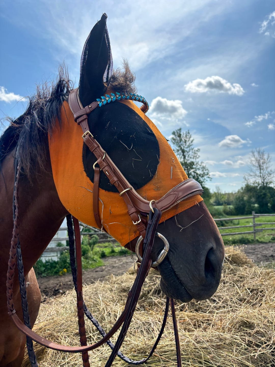 Customer photo review of Iris browband