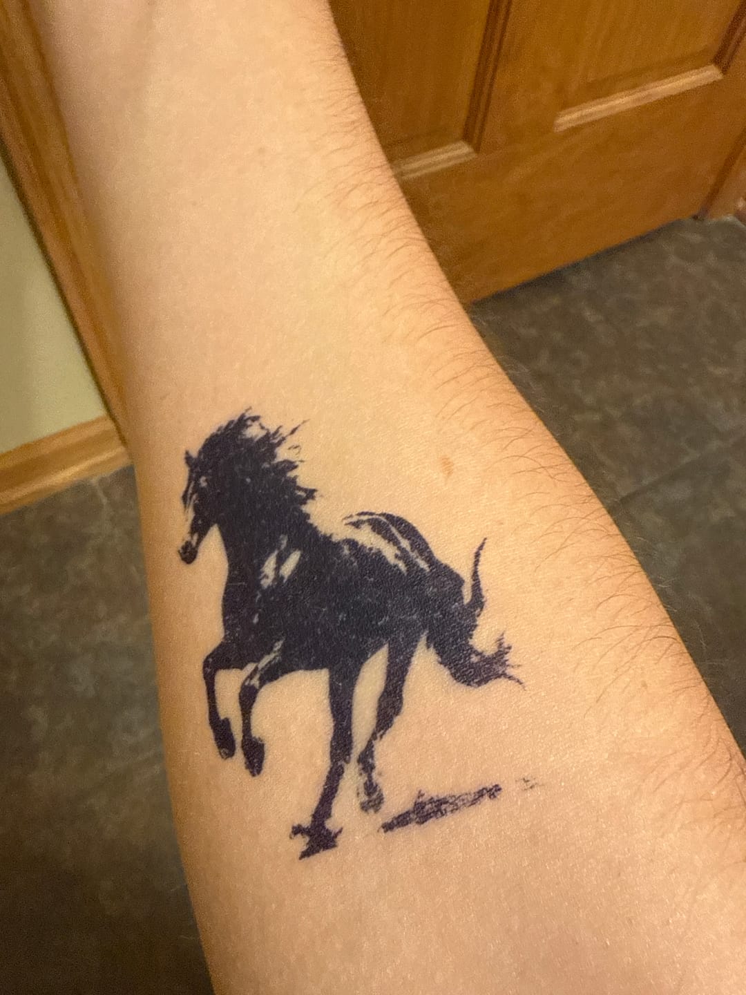 Customer photo review of Sleipnir