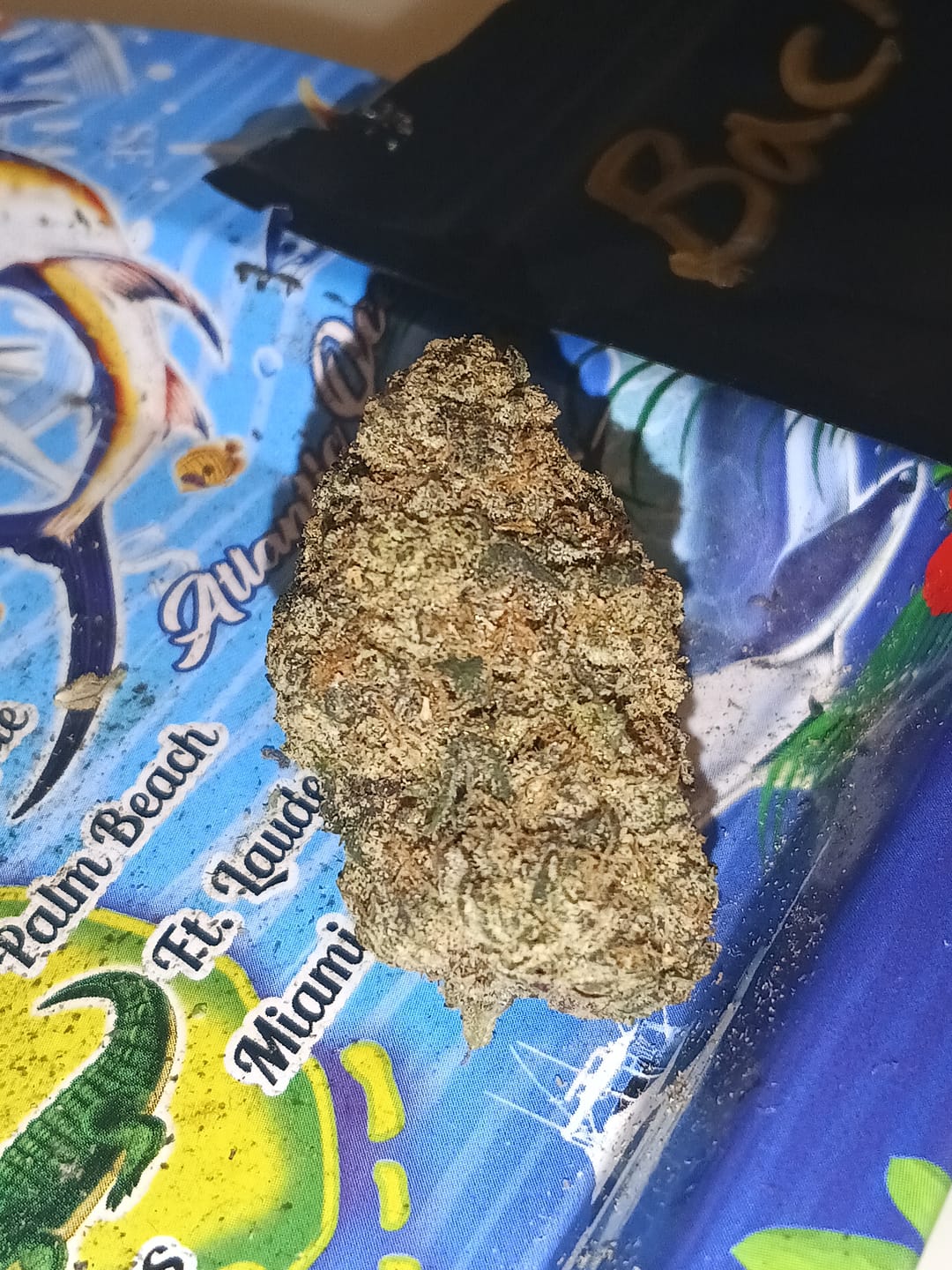 Customer photo review of Bacio Gelato 26 Grams