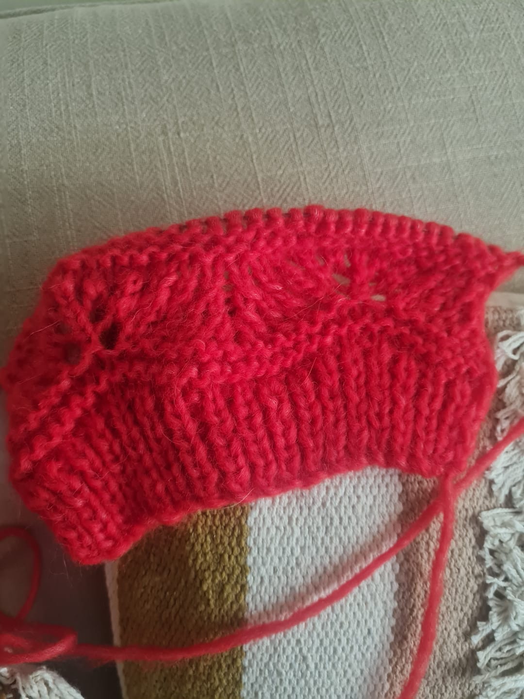 Customer photo review of Baby alpaca soft Gris perla ZG05
