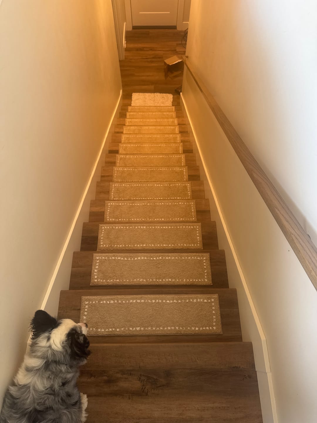 Customer photo review of CloudSoft Non-Slip Stair Treads - Beige