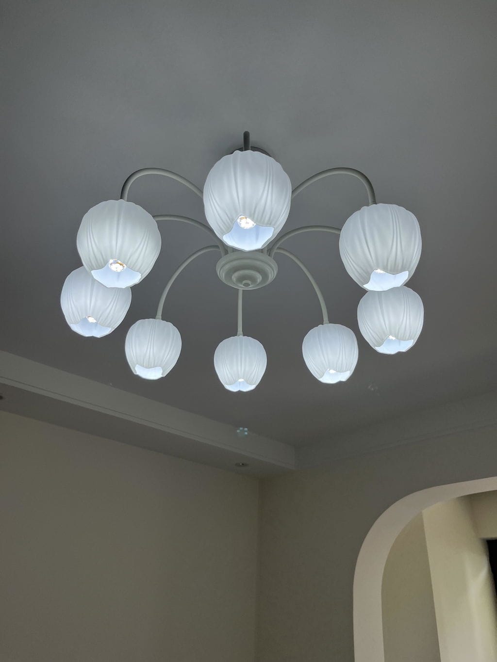 Customer photo review of Tulip Chandelier, White Glass Tulip Shades, Matcha Green Frame, E26