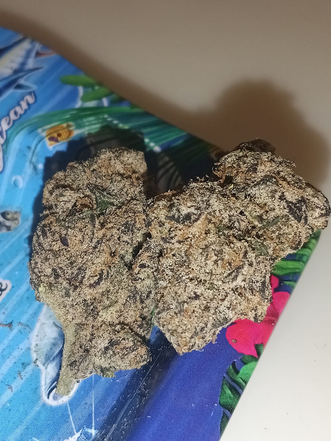 Customer photo review of Blue Lobster 26 Grams