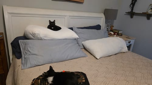 Customer photo review of Puff Pillow