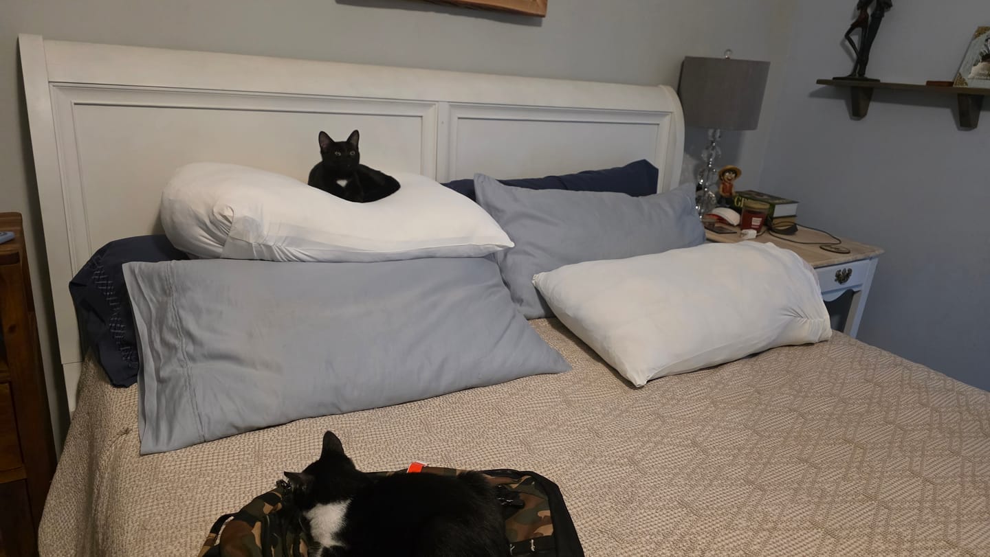 Customer photo review of Puff Pillow