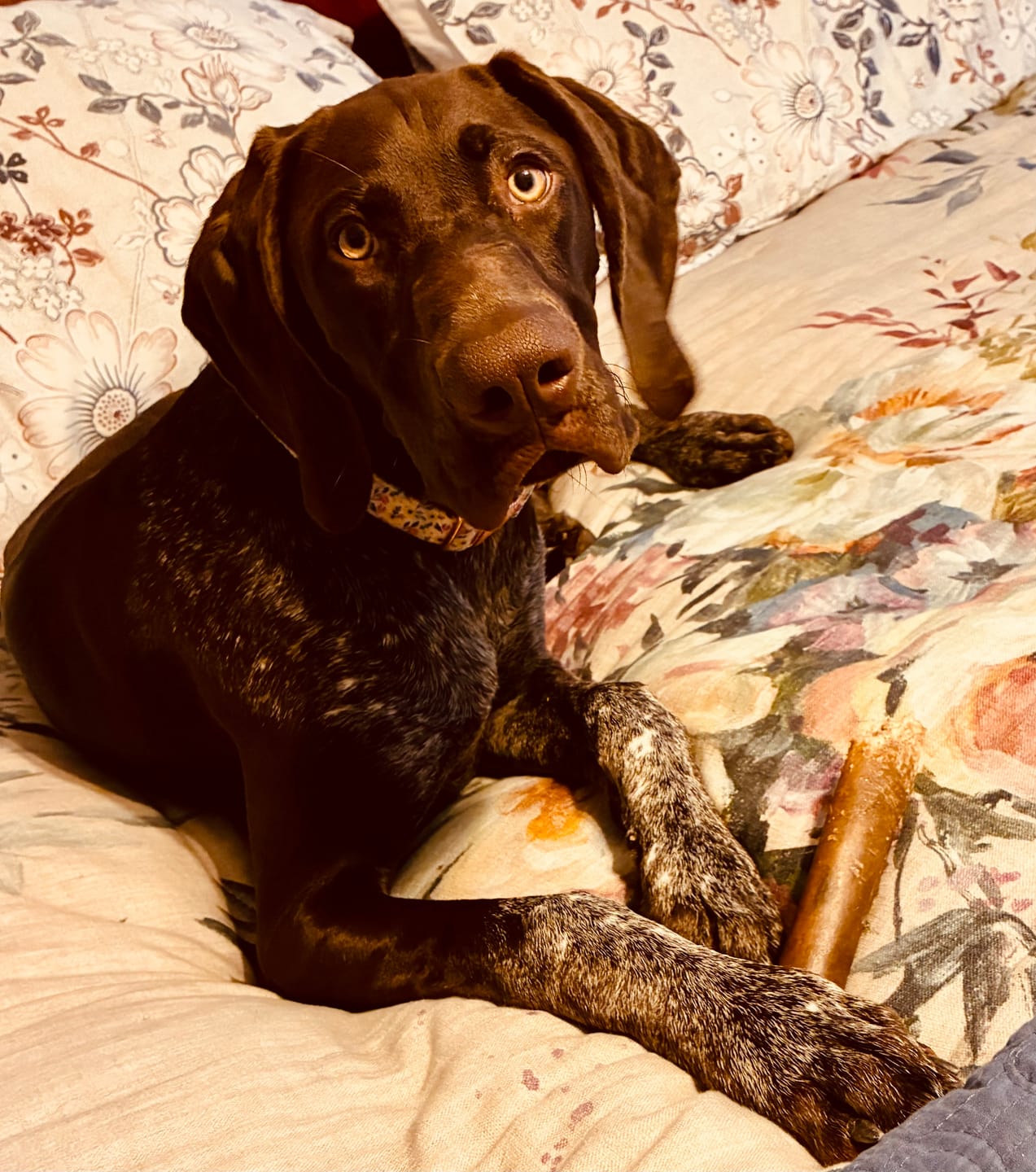 Customer photo review of Super Bull Sticks