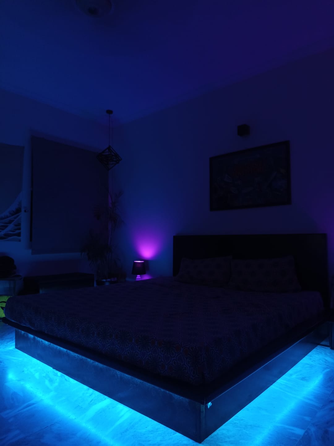 Customer photo review of RGB LED STRIP LIGHT (5Meter)